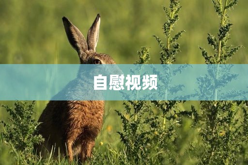 自慰视频