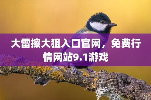 大雷擦大狙入口官网，免费行情网站9.1游戏