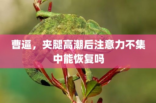 曹逼，夹腿高潮后注意力不集中能恢复吗