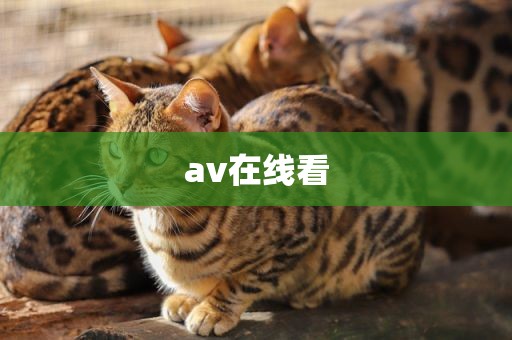 av在线看