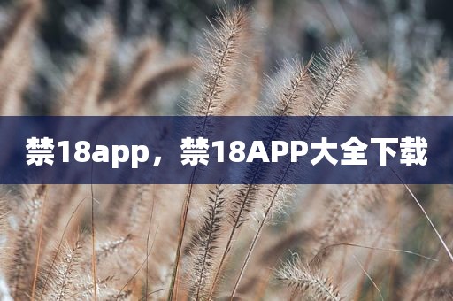 禁18app，禁18APP大全下载