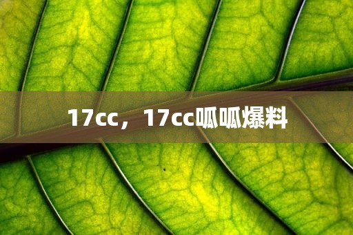 17cc，17cc呱呱爆料