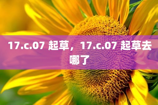 17.c.07 起草，17.c.07 起草去哪了