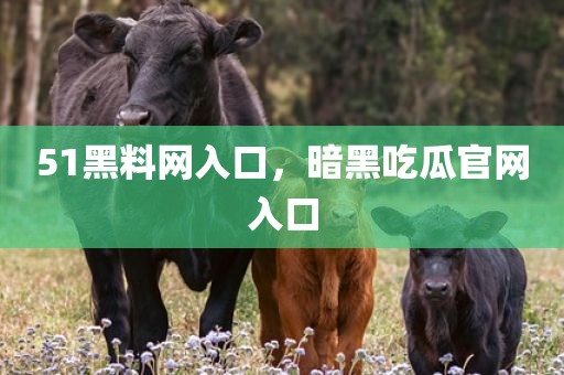 51黑料网入口，暗黑吃瓜官网入口