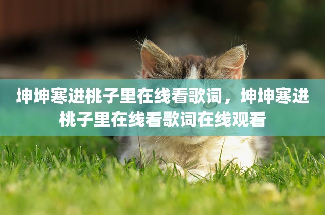 坤坤寒进桃子里在线看歌词，坤坤寒进桃子里在线看歌词在线观看