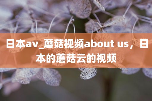 日本av_蘑菇视频about us，日本的蘑菇云的视频