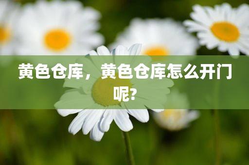 黄色仓库，黄色仓库怎么开门呢?