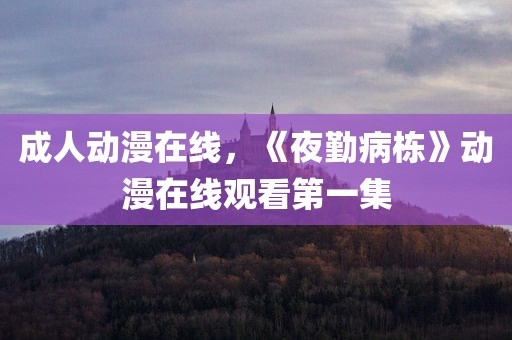 成人动漫在线，《夜勤病栋》动漫在线观看第一集