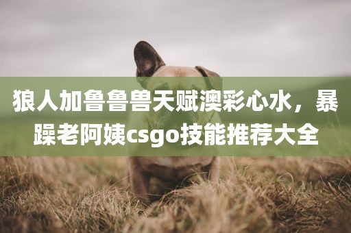 狼人加鲁鲁兽天赋澳彩心水，暴躁老阿姨csgo技能推荐大全