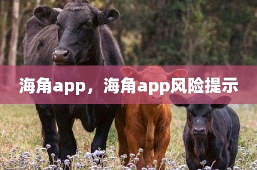 海角app，海角app风险提示