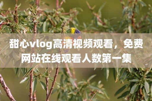 甜心vlog高清视频观看，免费网站在线观看人数第一集