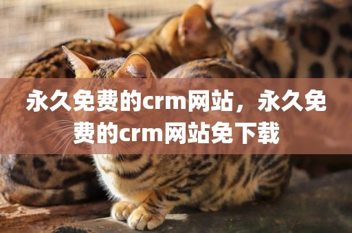 永久免费的crm网站，永久免费的crm网站免下载
