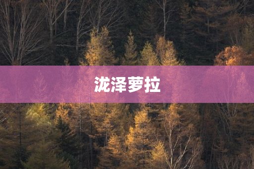 泷泽萝拉