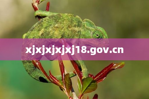 xjxjxjxjxj18.gov.cn