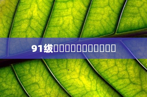 91绂侌煃嗮煃戰煍炩潓鉂屸潓