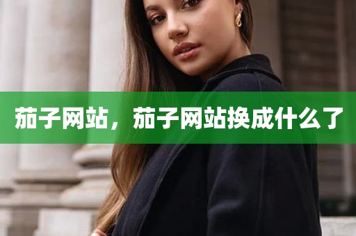 茄子网站，茄子网站换成什么了