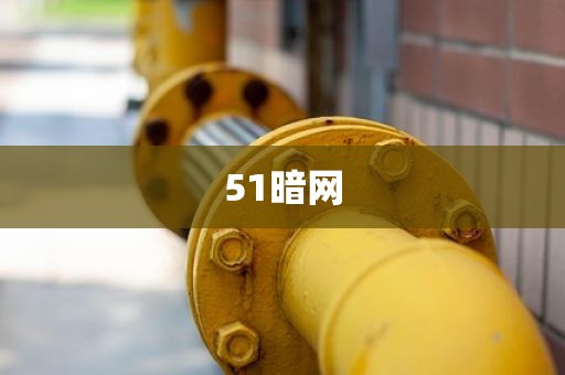 51暗网