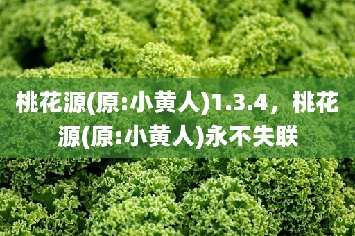 桃花源(原:小黄人)1.3.4，桃花源(原:小黄人)永不失联