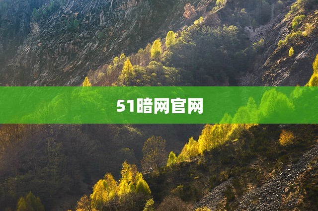 51暗网官网