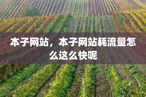 本子网站，本子网站耗流量怎么这么快呢