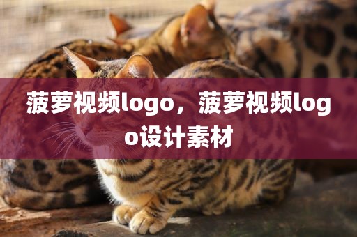 菠萝视频logo，菠萝视频logo设计素材