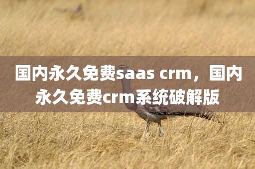 国内永久免费saas crm，国内永久免费crm系统破解版
