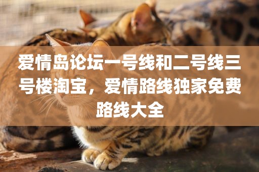 爱情岛论坛一号线和二号线三号楼淘宝，爱情路线独家免费路线大全
