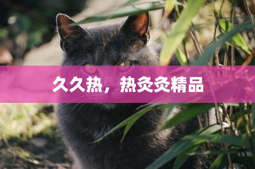 久久热，热灸灸精品