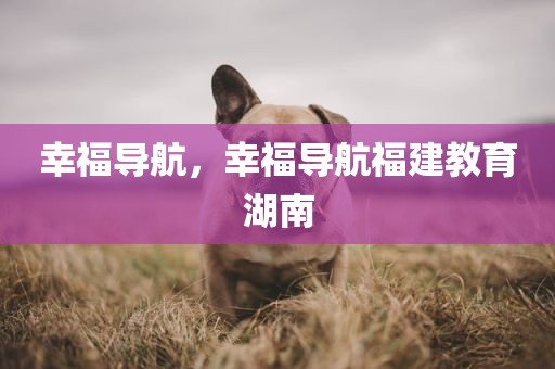 幸福导航，幸福导航福建教育湖南