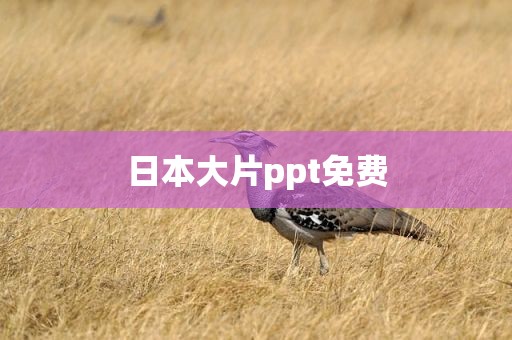 日本大片ppt免费