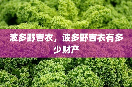 波多野吉衣，波多野吉衣有多少财产