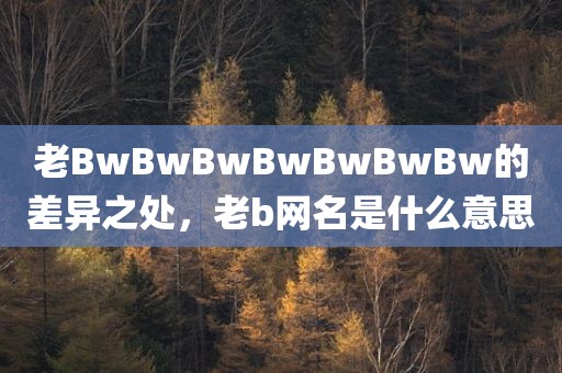 老BwBwBwBwBwBwBw的差异之处，老b网名是什么意思