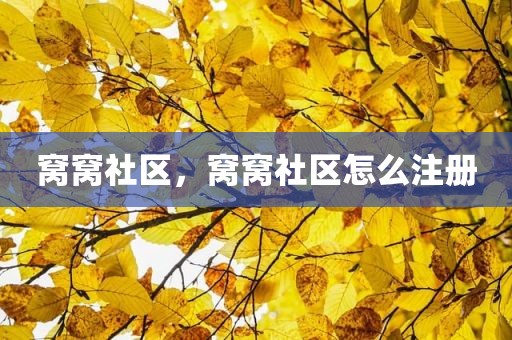 窝窝社区，窝窝社区怎么注册