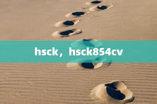 hsck，hsck854cv