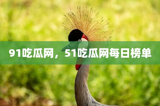 91吃瓜网，51吃瓜网每日榜单