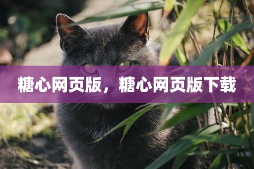糖心网页版，糖心网页版下载