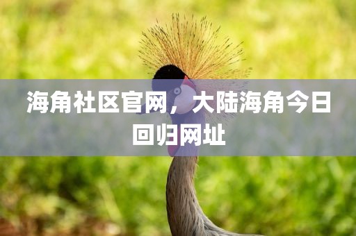 海角社区官网，大陆海角今日回归网址