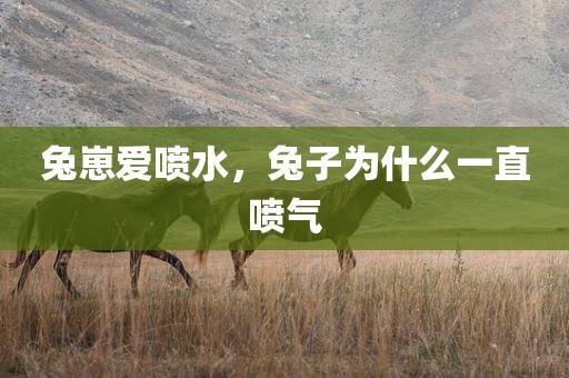 兔崽爱喷水，兔子为什么一直喷气