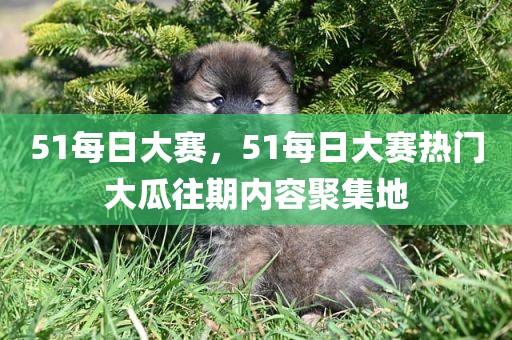 51每日大赛，51每日大赛热门大瓜往期内容聚集地