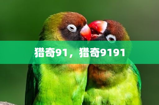猎奇91，猎奇9191