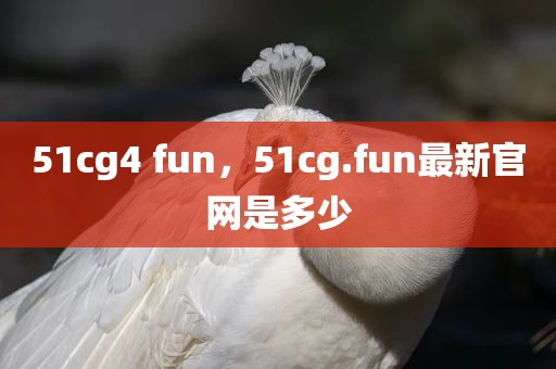 51cg4 fun，51cg.fun最新官网是多少
