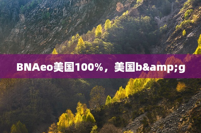 BNAeo美国100%，美国b&g