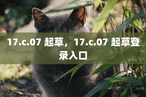 17.c.07 起草，17.c.07 起草登录入口