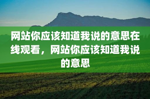 网站你应该知道我说的意思在线观看，网站你应该知道我说的意思