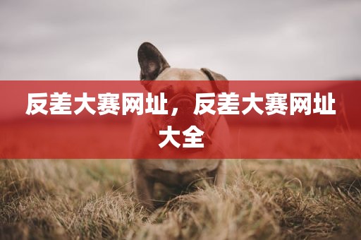 反差大赛网址，反差大赛网址大全