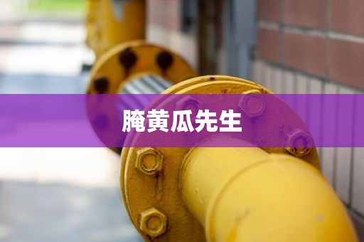 腌黄瓜先生