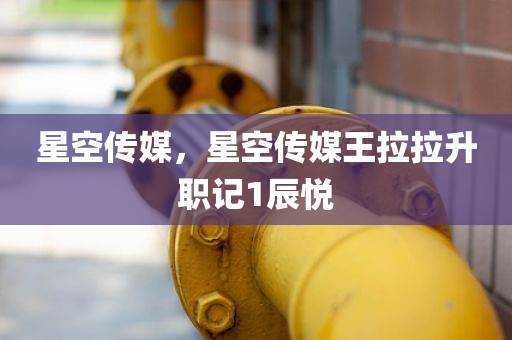 星空传媒，星空传媒王拉拉升职记1辰悦