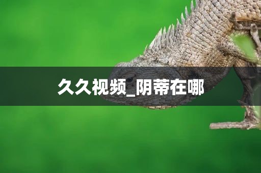 久久视频_阴蒂在哪
