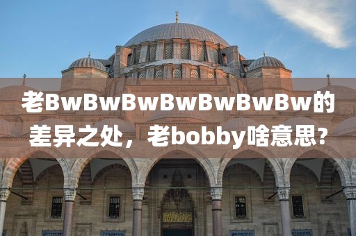 老BwBwBwBwBwBwBw的差异之处，老bobby啥意思?