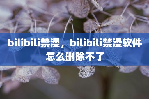 bilibili禁漫，bilibili禁漫软件怎么删除不了